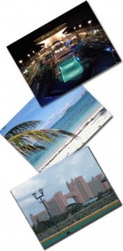 Picture